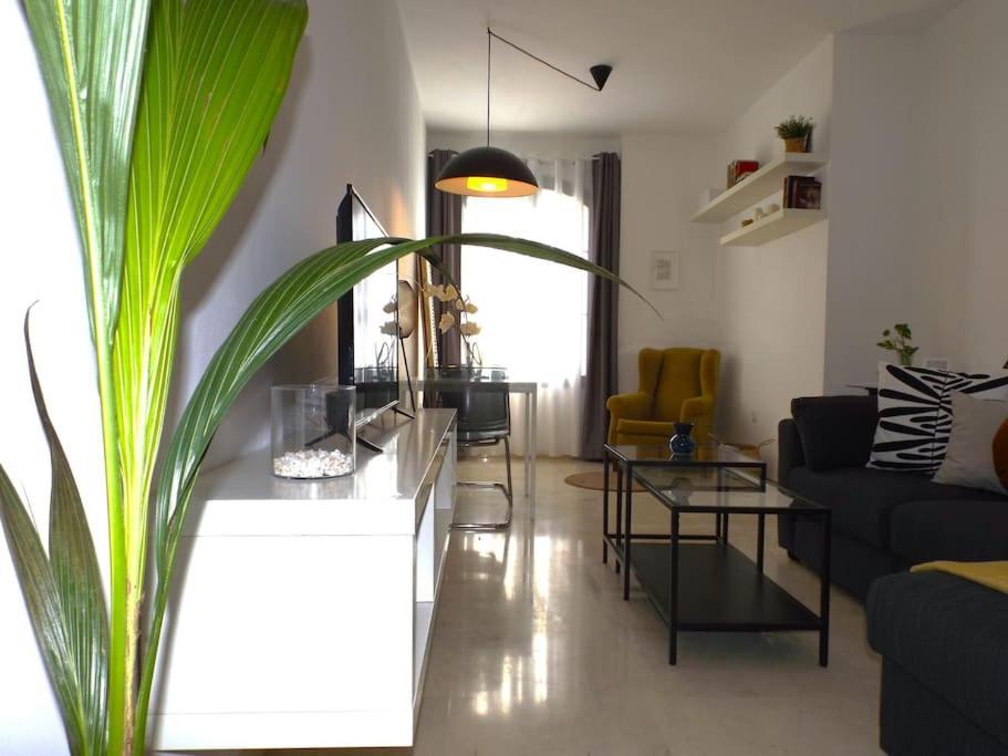 Apartamento Suite Centrico B Малага Экстерьер фото